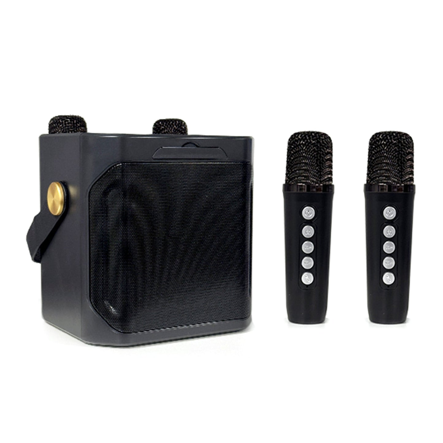 Altoparlante Bluetooth wireless con doppio microfono, altoparlante portatile per karaoke domestico