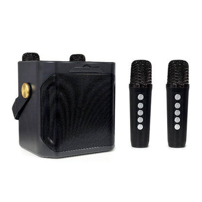 Altoparlante Bluetooth wireless con doppio microfono, altoparlante portatile per karaoke domestico