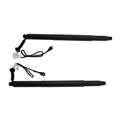Supporto di sollevamento elettrico per portellone posteriore 2 pezzi 51247434043 51247434044 per BMW X6 F16 SUV 2014-2019 M 50d 2993ccm 381HP 280KW (Diesel)