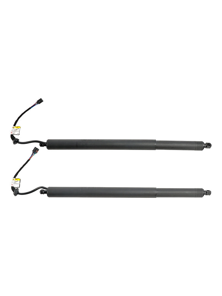 Supporto di sollevamento per portelloni elettrici Hyundai Palisade 2 pezzi 2020-2022 81831-S8100