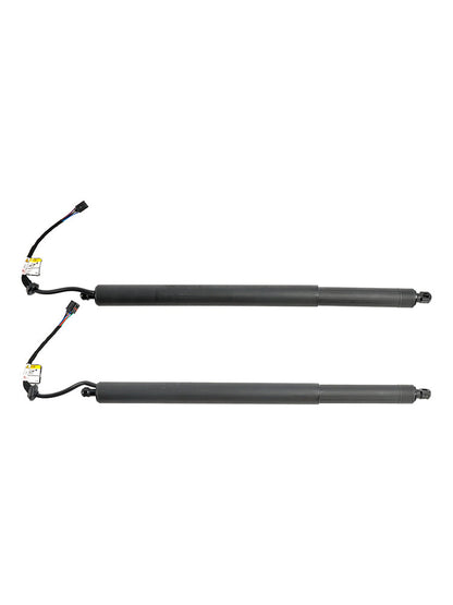 Supporto di sollevamento per portelloni elettrici Hyundai Palisade 2 pezzi 2020-2022 81831-S8100