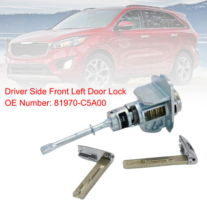 Kia Sorento S 3.3L 3342CC V6 GAS DOHC 2019-2020, aspirazione naturale, lato guida, serratura porta anteriore sinistra 81970-C5A00