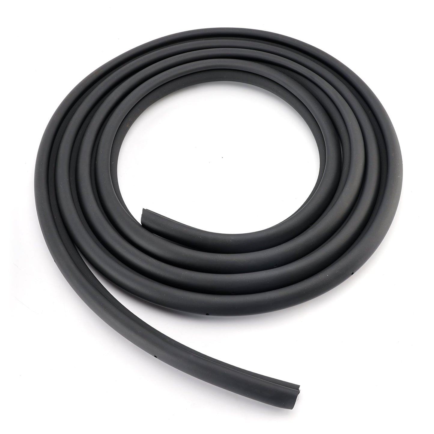 Guarnizione porta anteriore 2 pezzi 5131160 per Dodge Ram 1500 2500 3500 2002-2009