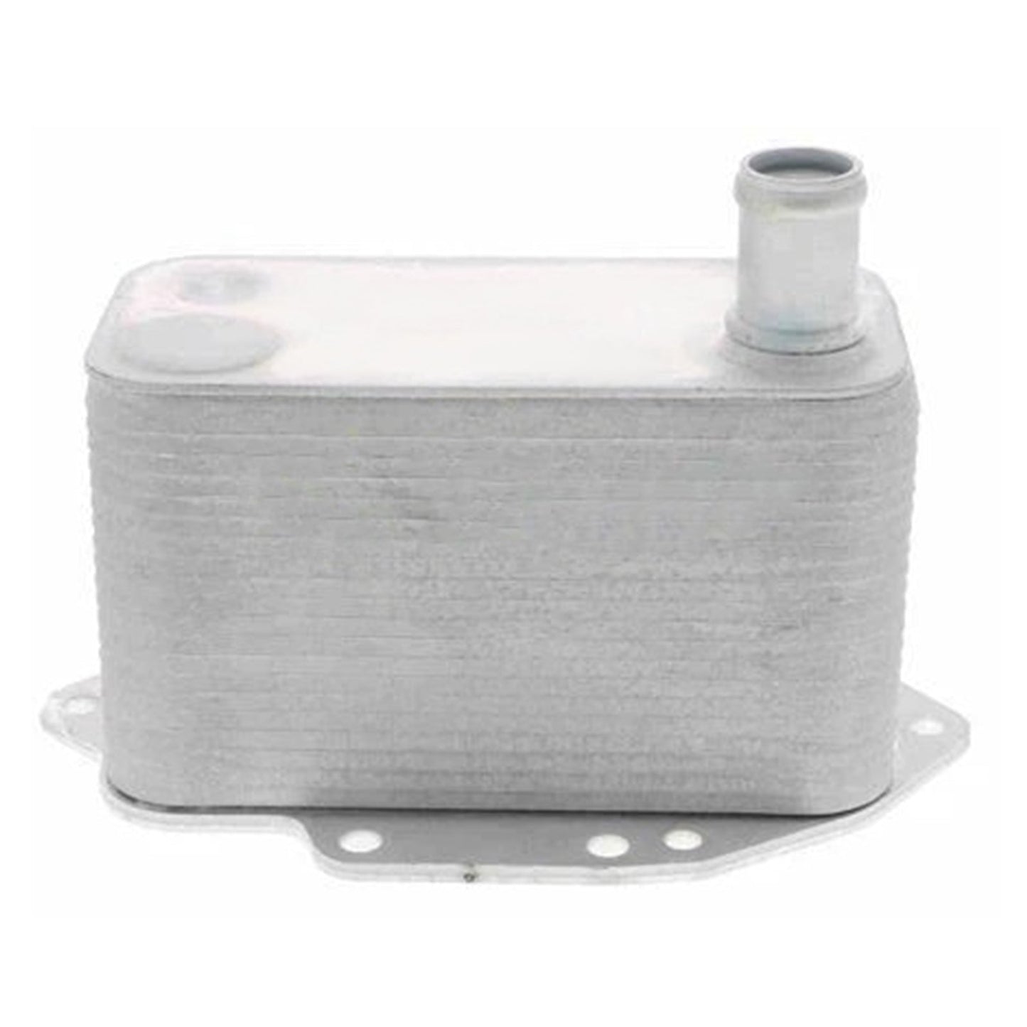 Radiatore olio motore 11427788462 per BMW Serie 3 5 6 7 X3 X5 X6