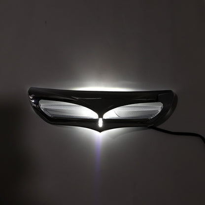 Carenatura con illuminazione a LED per Electra Street Glide FLHTCU 2014-2022