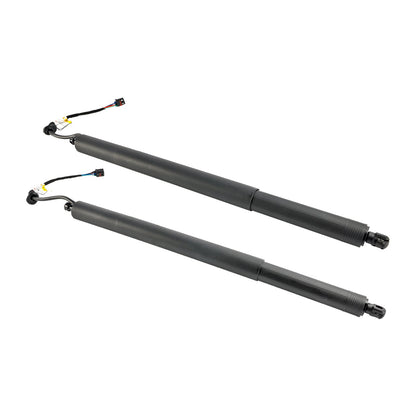 Supporto di sollevamento per portelloni elettrici Hyundai Palisade 2 pezzi 2020-2022 81831-S8100