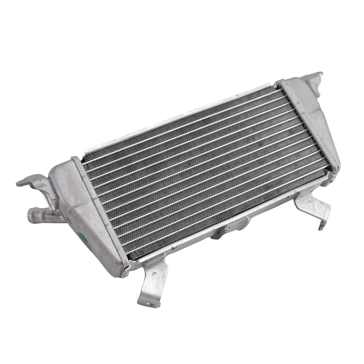 Raffreddamento del radiatore per BMW M1000R 2023-2025