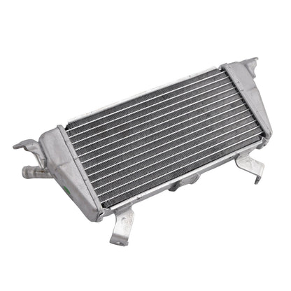 Raffreddamento del radiatore per BMW S1000RR 2019-2025