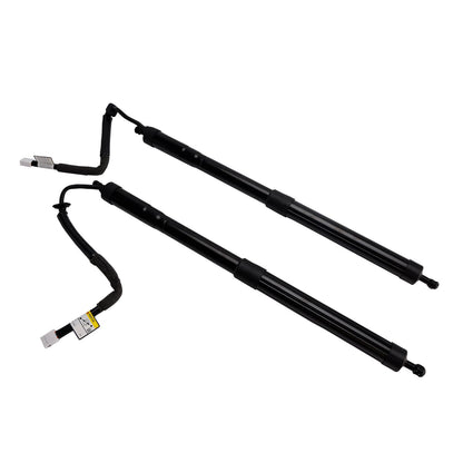 Supporto di sollevamento per portellone elettrico posteriore LEXUS RX RX350L RX450HL 2 pezzi 2018-2022 6892048061 6892048060