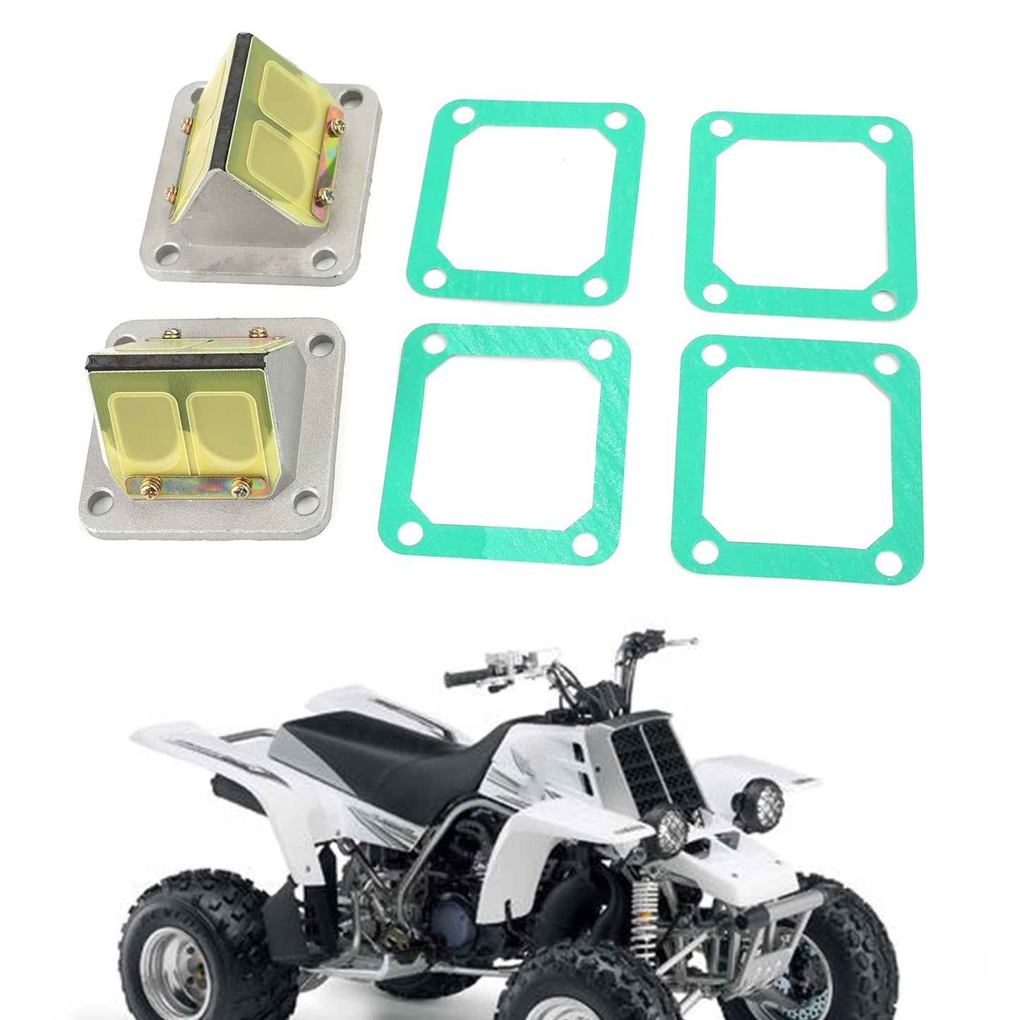 Gabbie valvola lamellare + ance adatte per Yamaha Banshee YFZ350 1987-2006 Generico