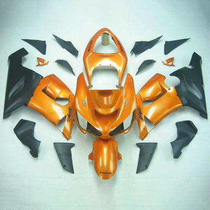 Amotopart Kawasaki 2005-2006 ZX6R 636 Orange con kit di rivestimento nero