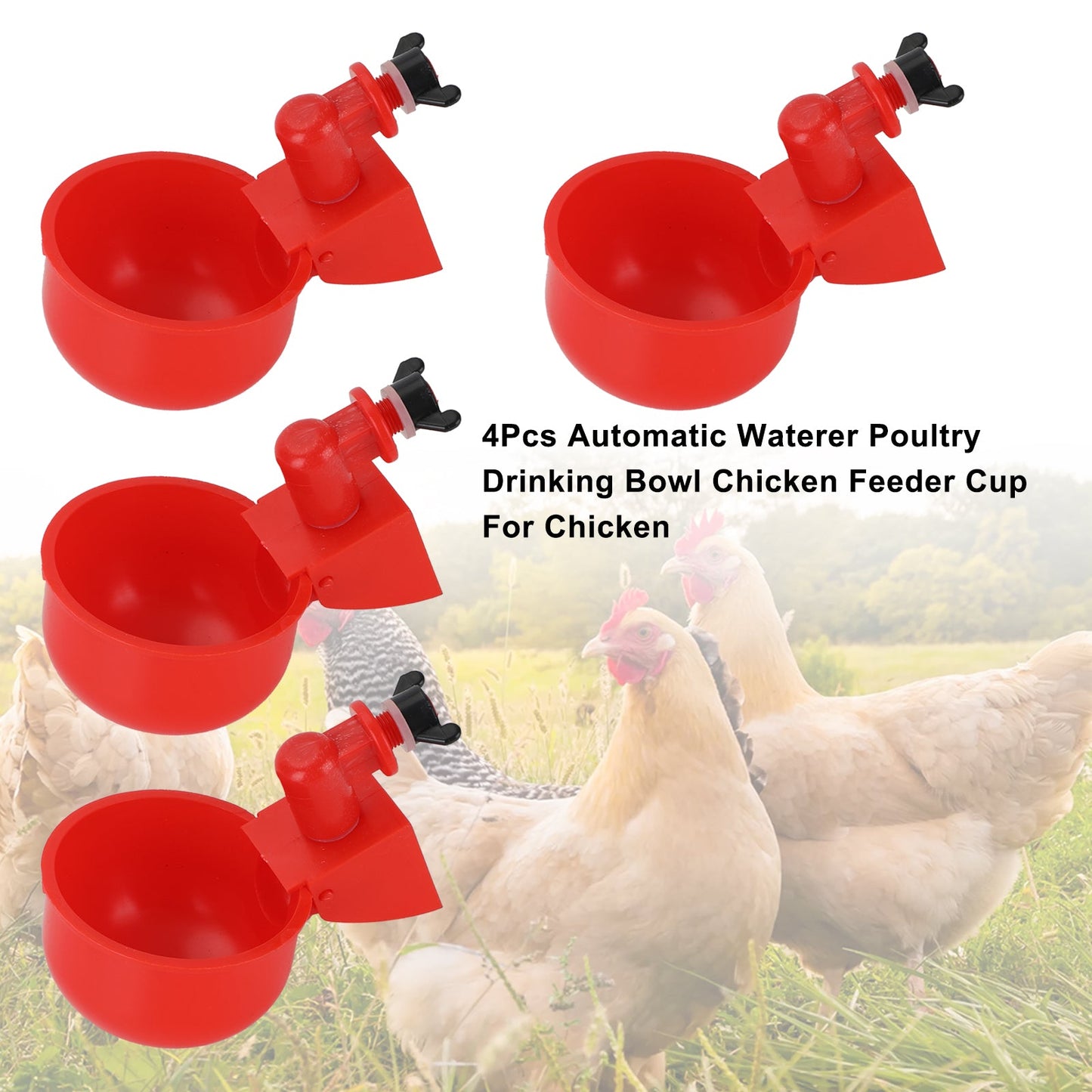 4Pcs Automatic Waterer Pollame Ciotola per Pollo Mangiatoia per Pollo