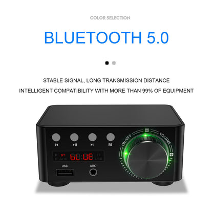 HiFi Mini Bluetooth 5.0 Digital Power Amplificatore audio Ricevitore audio stereo USB