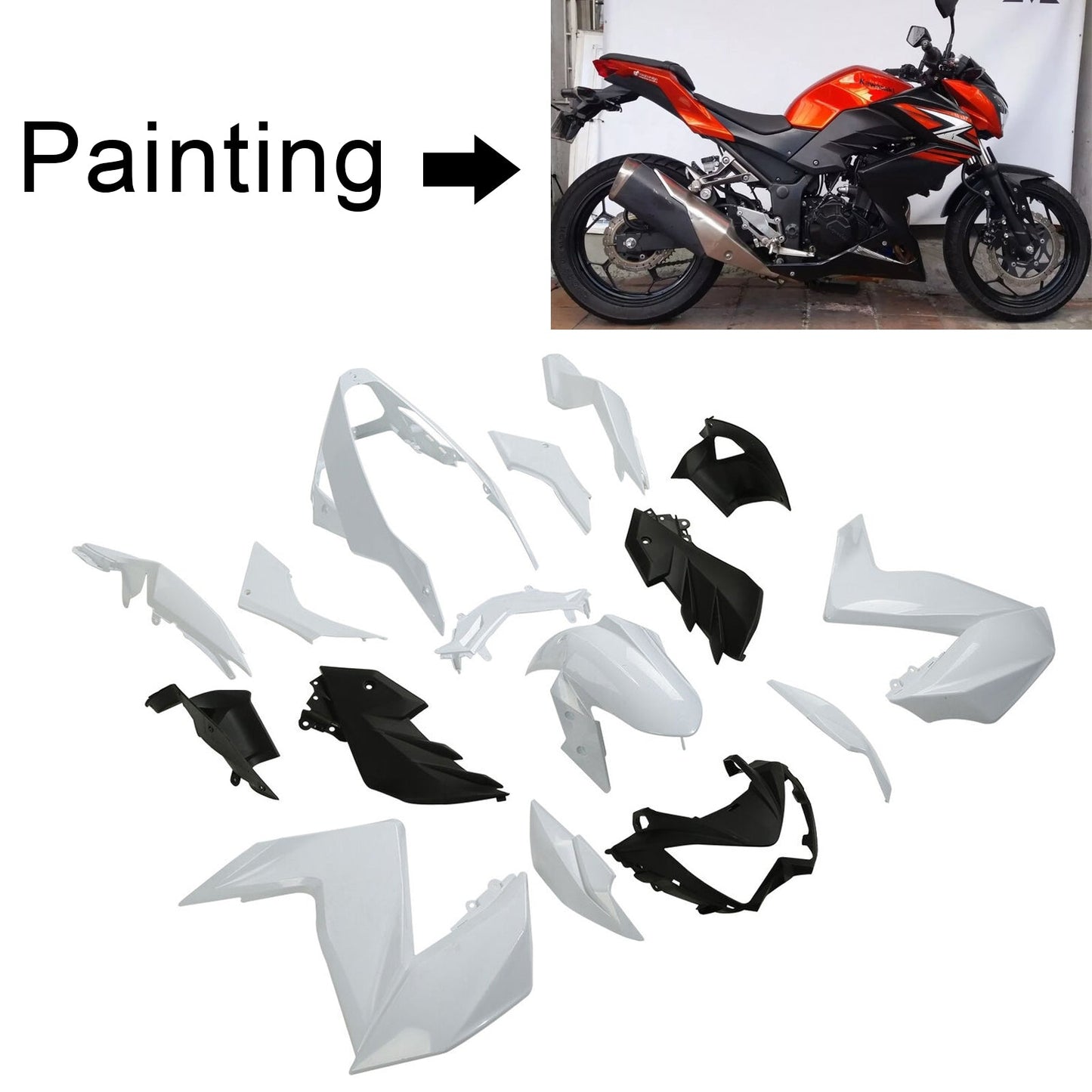 Kit carenatura Kawasaki Z250 Z300 2015-2016