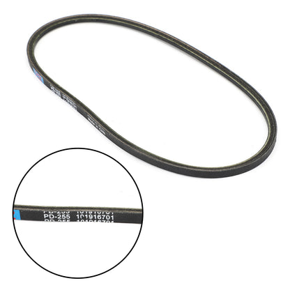 Cinghia Generatore Avviamento adatta per Club Car Precedent Benzina o Elettrica Pioneer 1200 Generic