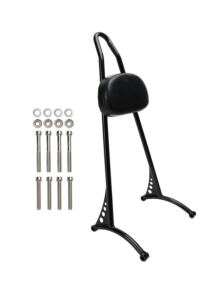 Schienale Sissy Bar passeggero per Sportster Iron 883 1200 XL 48 72 dal 2004 in poi