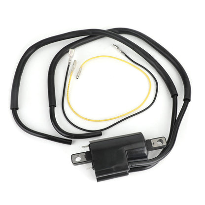 Bobina di accensione Modelli adatti per Honda CB160 CL160 CL175 CL200 CB200 30500-216-000 Generico