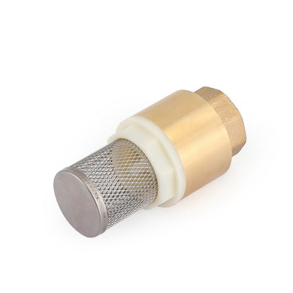 3/4" NPT valvola di fondo in linea di ritegno in ottone caricata a molla con filtro 200 PSI