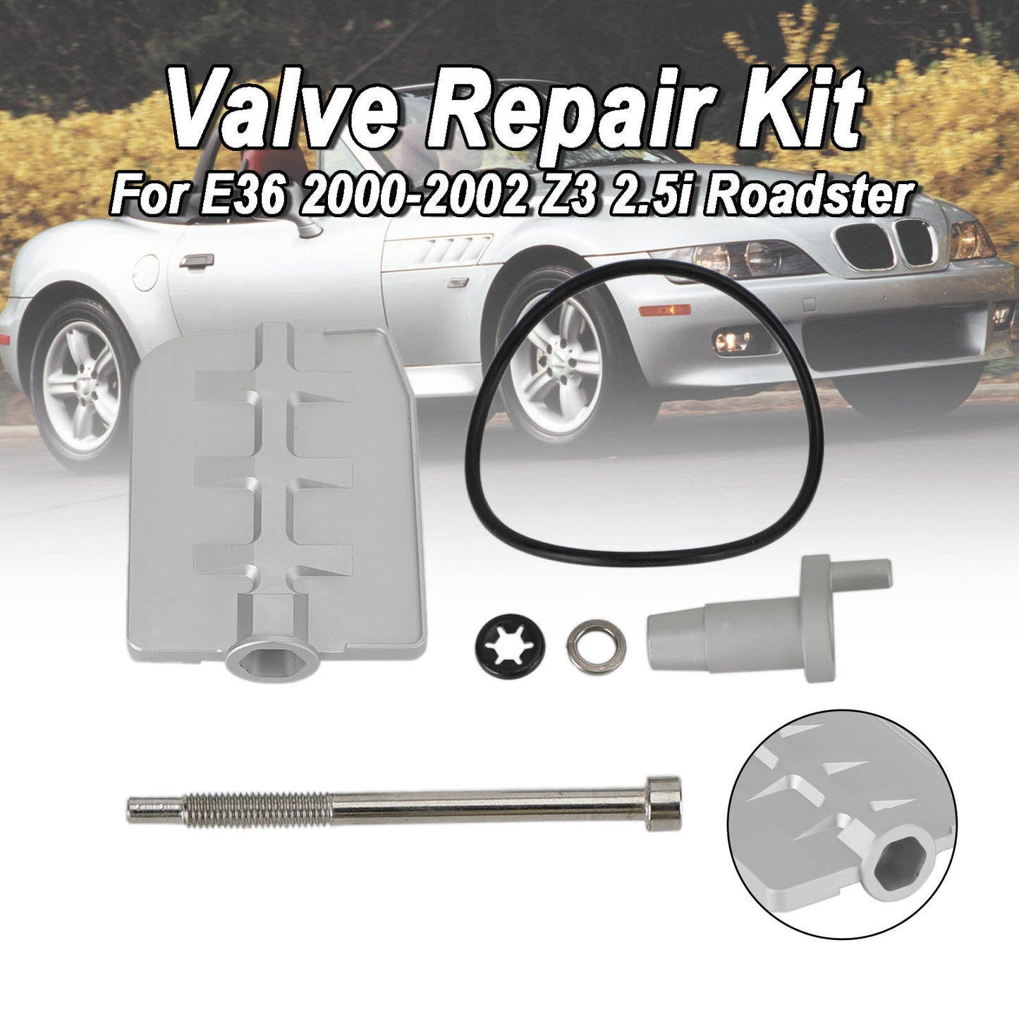 BMW E46 2000-2005 325i Touring Sedan Kit Riparazione Valvola Rebuild Rattle X8R0043
