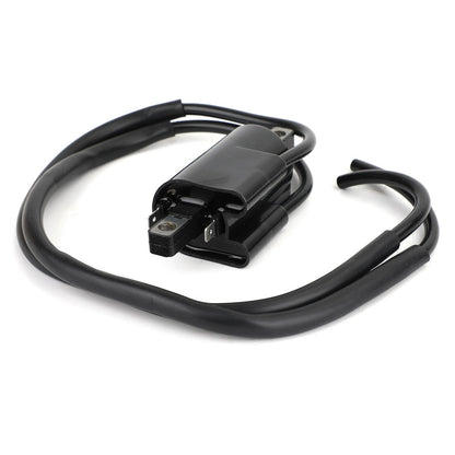 Bobina di accensione Modelli adatti per Honda CB160 CL160 CL175 CL200 CB200 30500-216-000 Generico
