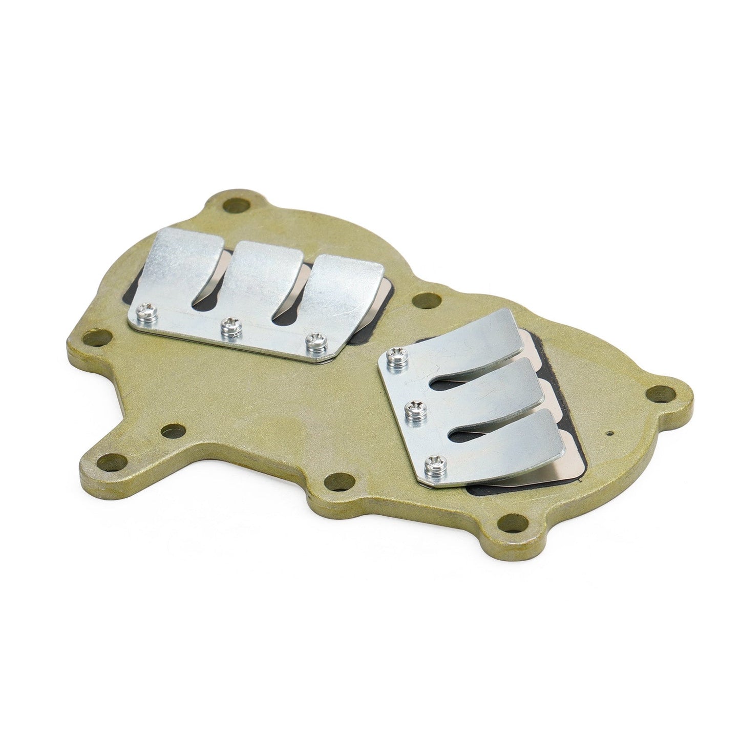 362-02100-1 valvola lamellare Assy per Tohatsu fuoribordo NS9.9 NS15 NS18 M9.9 M15 M18