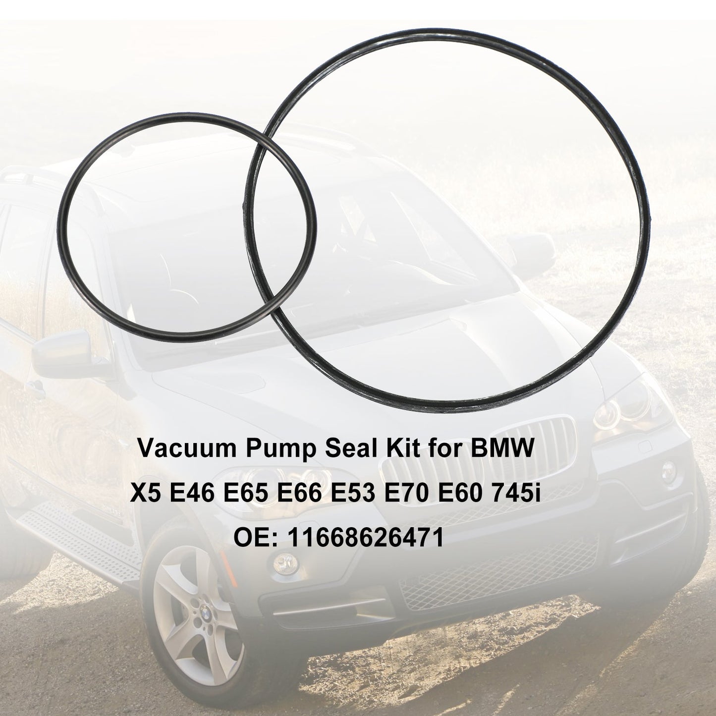 Kit guarnizioni pompa a vuoto per BMW X5 E46 E65 E66 E53 E70 E60 745i 11668626471 generico