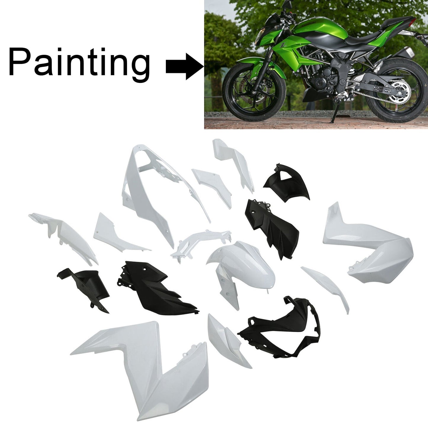 Kit carenatura Kawasaki Z250 Z300 2015-2016