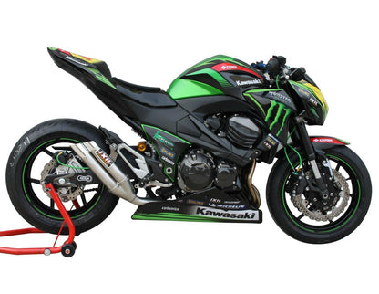 Kit carenatura Kawasaki Z800 2013-2018