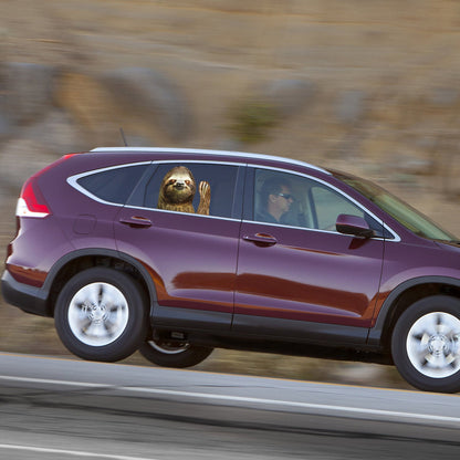 Adesivo per finestrino dell'auto Dimensione persona Lato passeggero Destra Bradipo Agitando divertente Universale generico