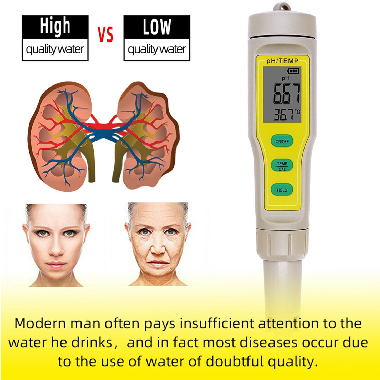 Digital PH TEMP Tester Meter Pen per acquario piscina vino acqua laboratorio cibo