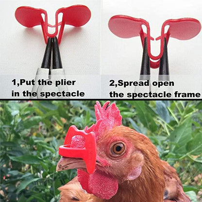 24 pezzi di pollame di fagiano e paraocchi di pollo con pinze Peeper Vision Blocker