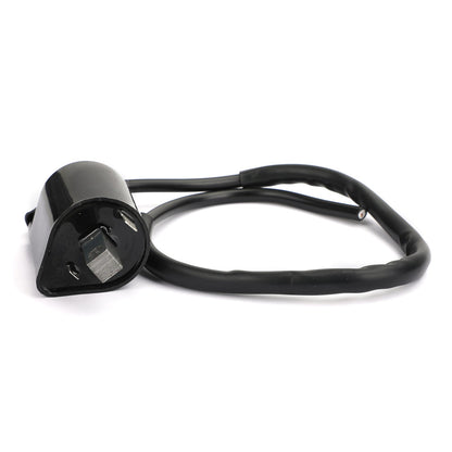 Bobina di accensione per Yamaha Gas Golf Cart golf Kart G2 G9 G11 Sostituire J38-82310-20-00 Generico
