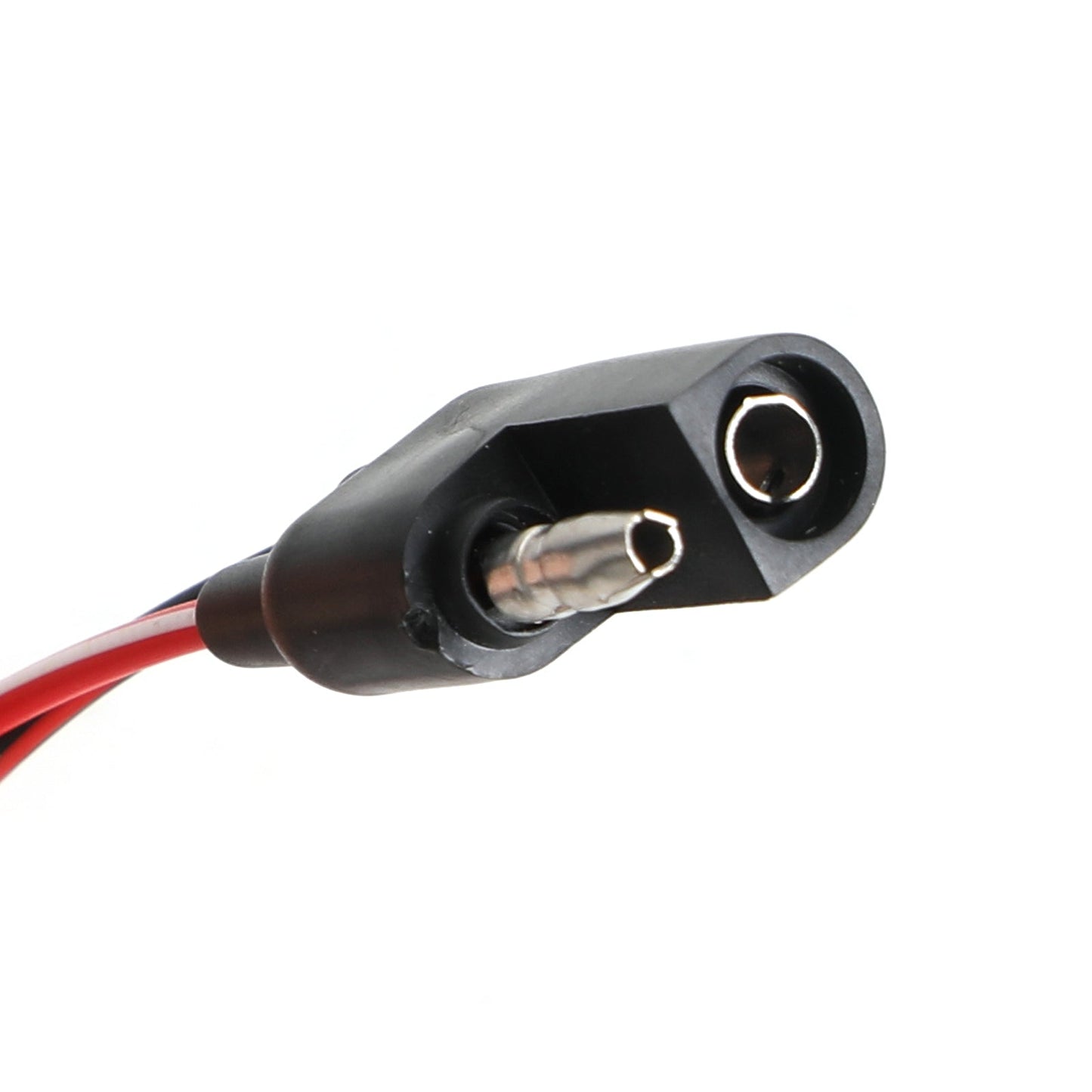 Accensione Elettrica Statore Per Gas Gas EC XC 125 EC125 XC125 2001-2003 MC250034005 Fedex Express