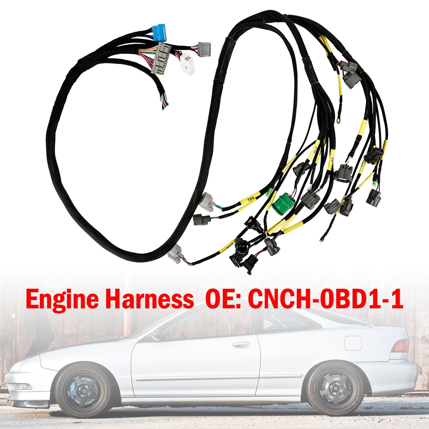 Cablaggio motore nascosto serie D e B budget OBD1 per Civic Integra B16 B18 D16