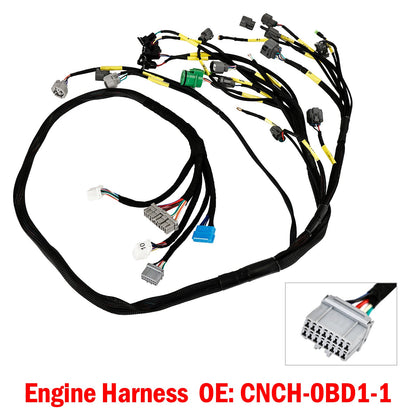 Cablaggio motore nascosto serie D e B budget OBD1 per Civic Integra B16 B18 D16