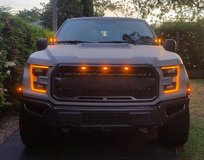 F-150 F150 2015 - 2019 Ford 3X Griglia Paraurti LED Griglia di Ricambio Griglia Raptor Stile Generico