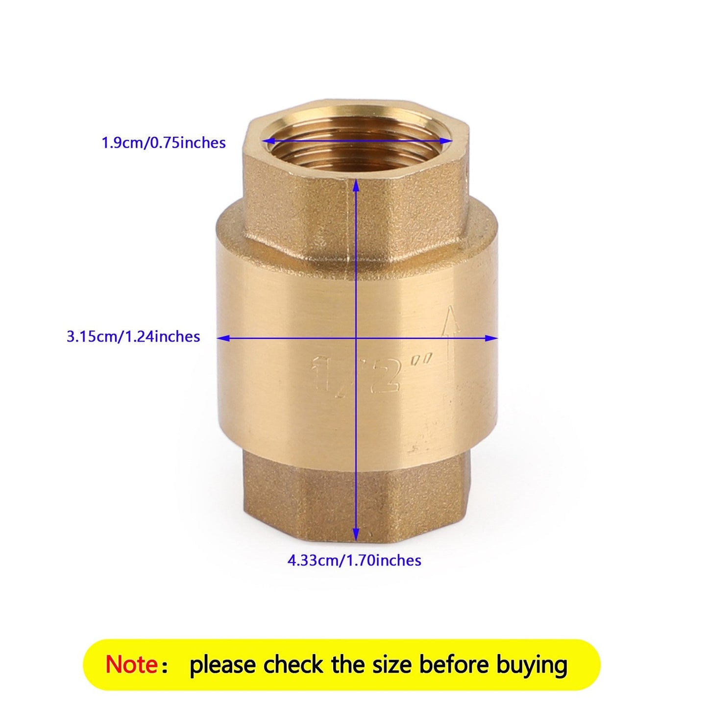 Valvola di ritegno in linea DN15/DN20 NPT in ottone caricata a molla in linea 200PSI