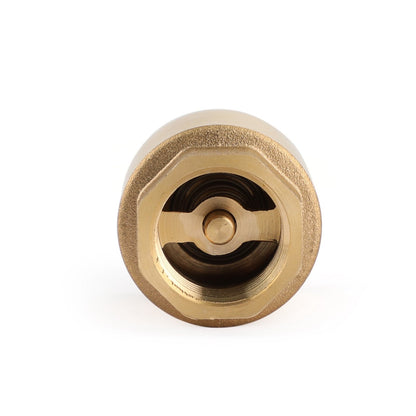 Valvola di ritegno in linea DN15/DN20 NPT in ottone caricata a molla in linea 200PSI
