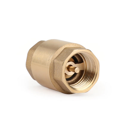 Valvola di ritegno in linea DN15/DN20 NPT in ottone caricata a molla in linea 200PSI
