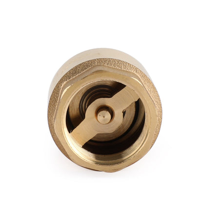 Valvola di ritegno in linea DN15/DN20 NPT in ottone caricata a molla in linea 200PSI