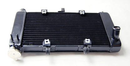 Griglia radiatore protezione radiatore per Yamaha FZ6 2004-2010 nero generico