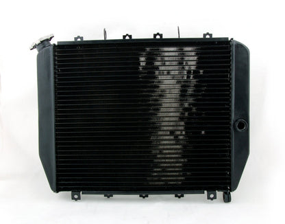Griglia radiatore protezione radiatore per Kawasaki ZX12R ZX 12R 2000-2005 nero generico
