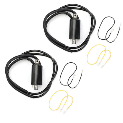 2x BOBINA DI ACCENSIONE Per SUZUKI GSF1200S BANDIT 1996-2004, GSF400 89-87 GSF600 95-04 Generico