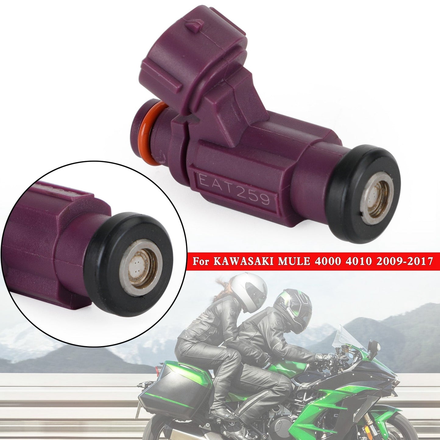 Iniettore di carburante EAT259 49033-2060 490332060 per KAWASAKI MULE 4000 4010 09-17 Generico
