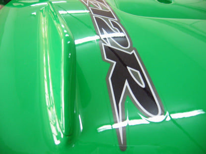 Amotopart 2000-2001 Kawasaki ZX12R Cladding Green Kit