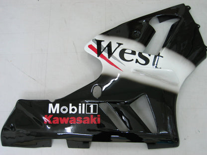 Amotopart 2002-2005 Kawasaki ZX12R Cladding G-Black & White Kit