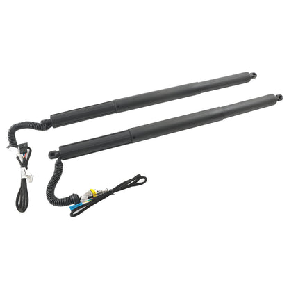2 PZ Puntoni Portellone Elettrico Sinistro e Destro Gas 51247232003 Fit BMW X3 F25