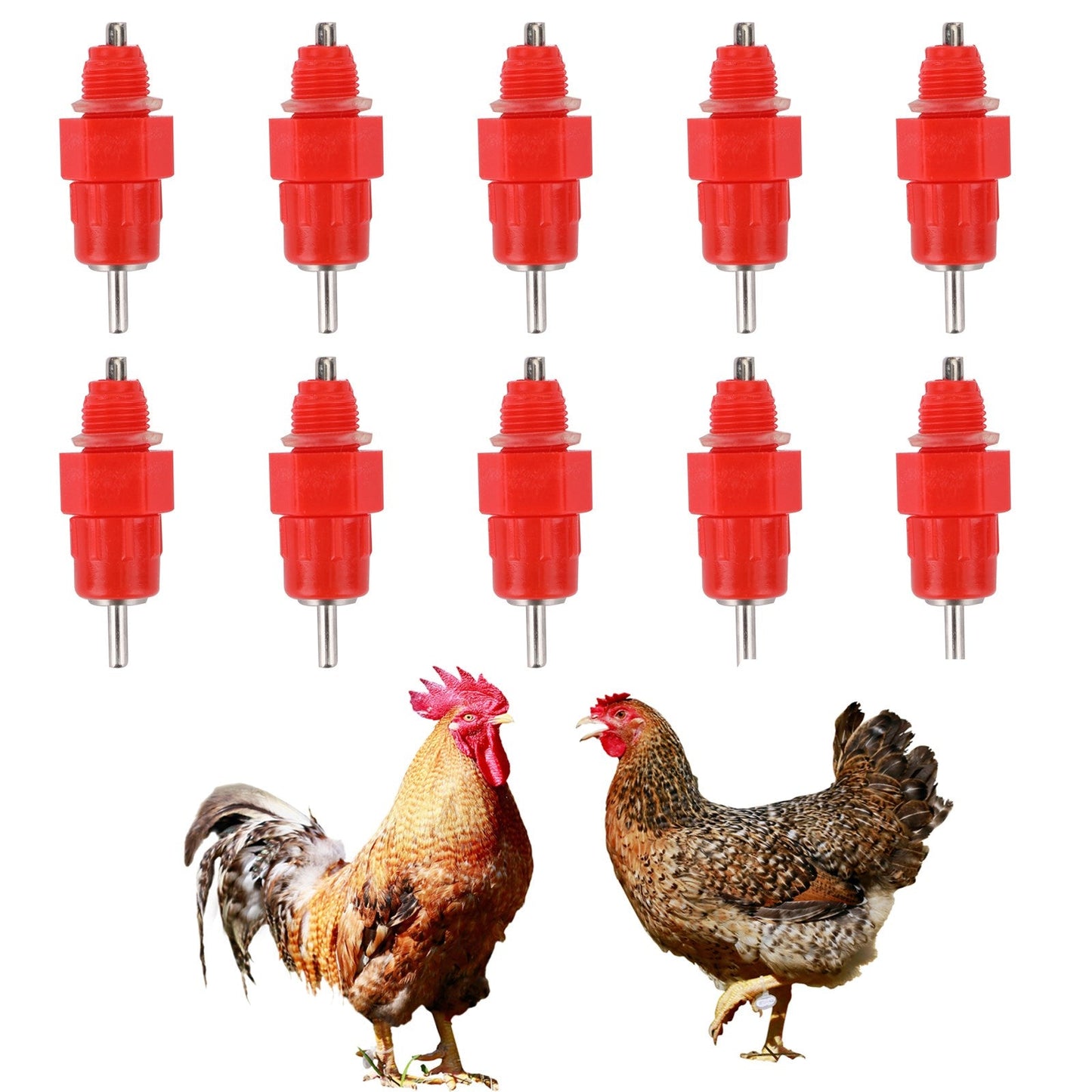 10 valvole per capezzoli d'acqua, bevitore automatico, alimentatore per pollame, pollo, anatra, uccelli