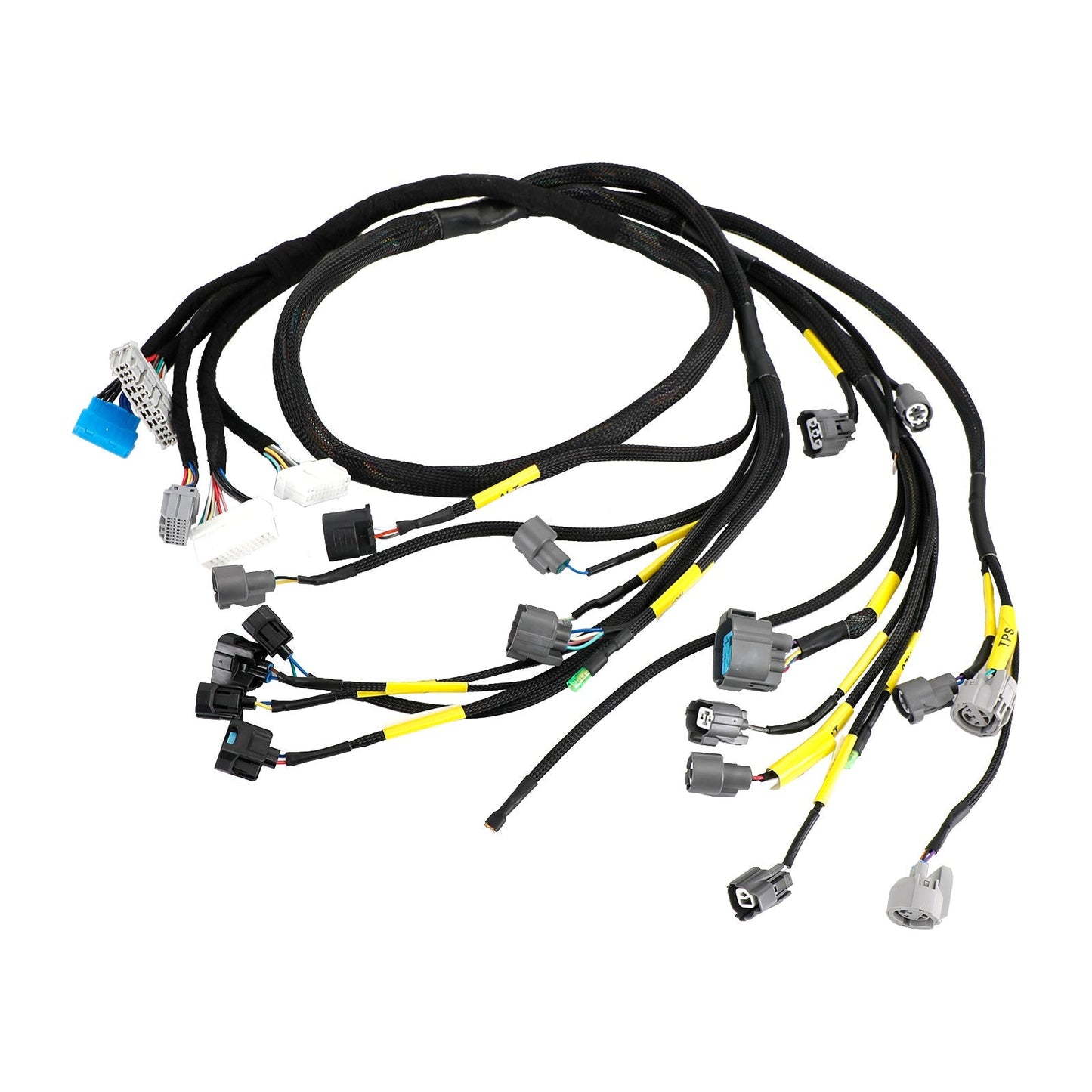 Cablaggio motore Honda Civic Integra B16 B18 D16 OBD2 Budget serie D e B