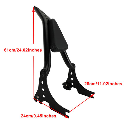 2004-2020 Sportster XL883 C/R XL1200R XLH883 XLH1200 Schienale passeggero